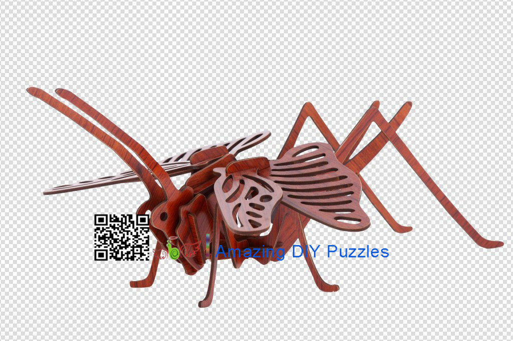 DIY toy-3D puzzle-Rosewood Acridid