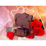 DIY toy-3D puzzle-Rosewood Virgo